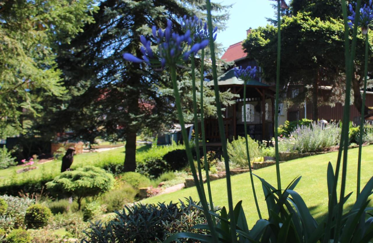 Apartment Appartement's - Haus Karola Bad Schandau